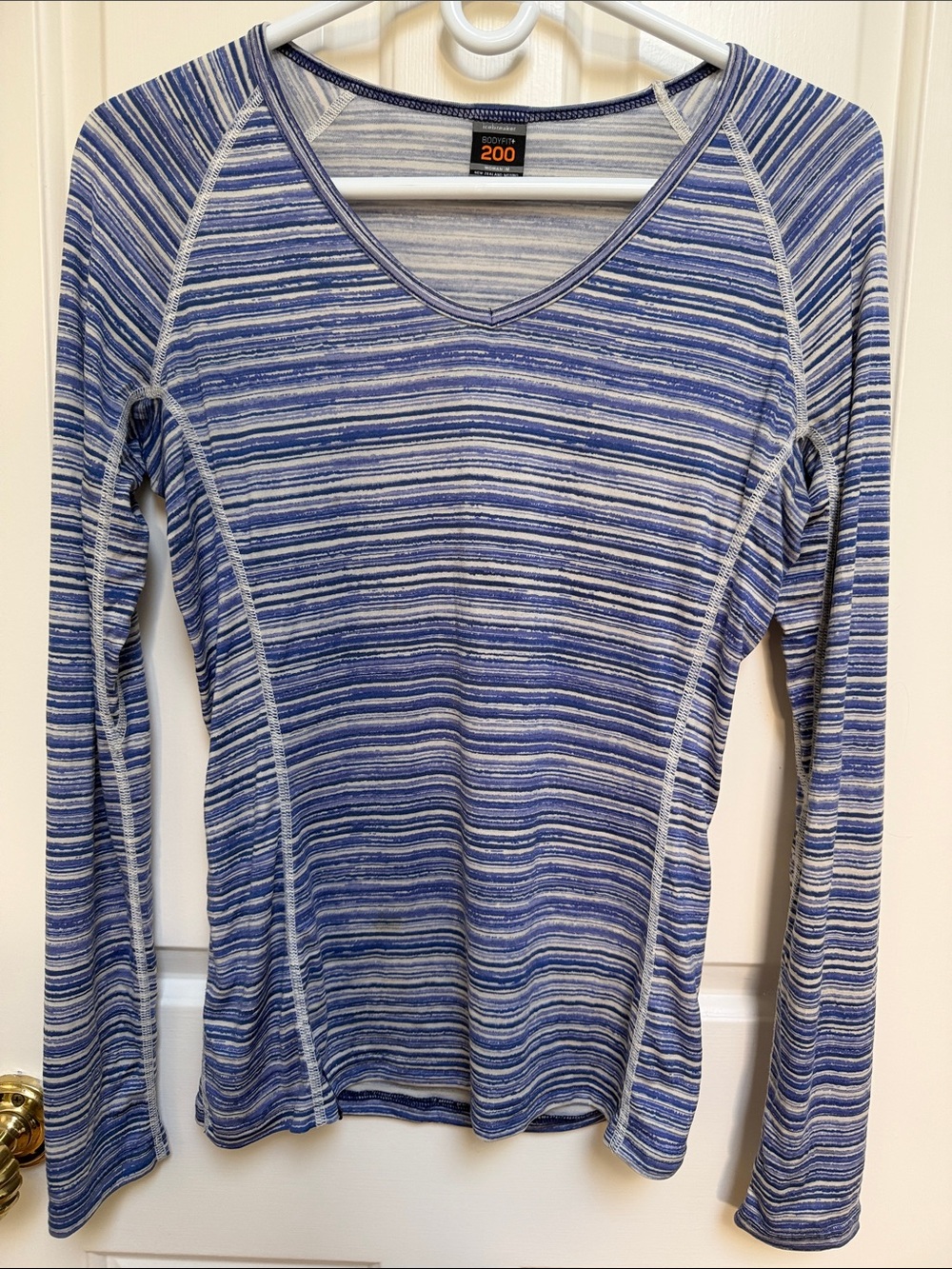Icebreaker sz M BODYFIT+ 200 striped top blues purples New Zealand Merino Wool